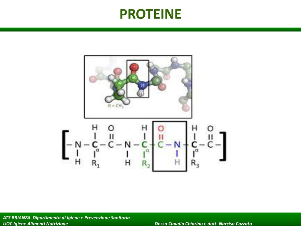 Le Proteine Vegetali Valore Biologico E Ruolo Nella Prevenzione Delle